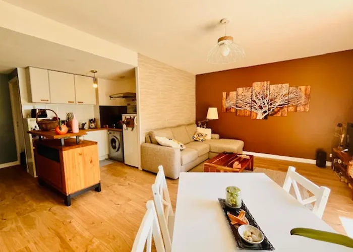 With Terrace And Pool * La Rochelle (Charente-Maritime)