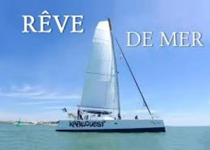 With Terrace And Pool Appartement